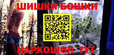 сатива Аргун