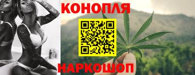 сатива Аргун