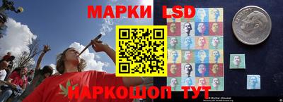 сатива Аргун