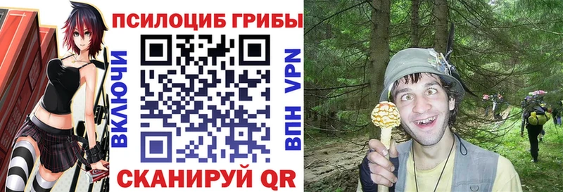 блэк спрут вход  Астрахань  Псилоцибиновые грибы GOLDEN TEACHER 