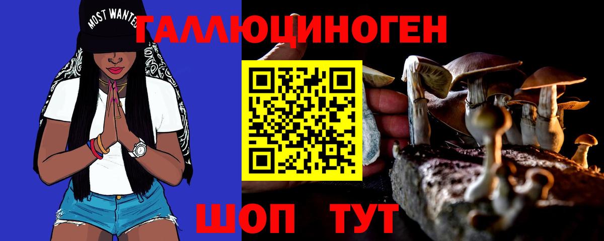 Астрахань  Галлюциногенные грибы GOLDEN TEACHER  Вход с VPN 